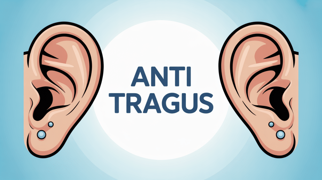 Image explicative anti tragus et piercing cartilage