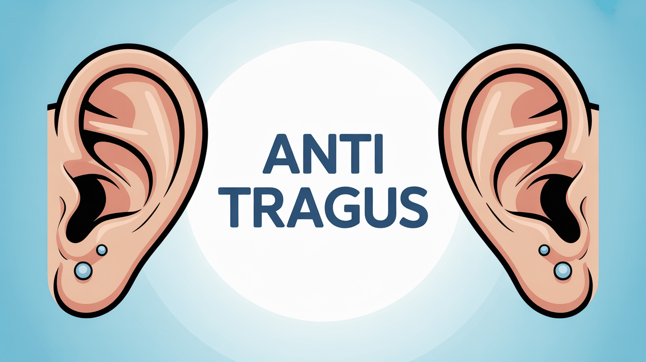 Image explicative anti tragus et piercing cartilage