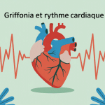 griffonia et rythme cardiaque relation visuelle