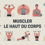 Illustration exercices muscle haut du corps