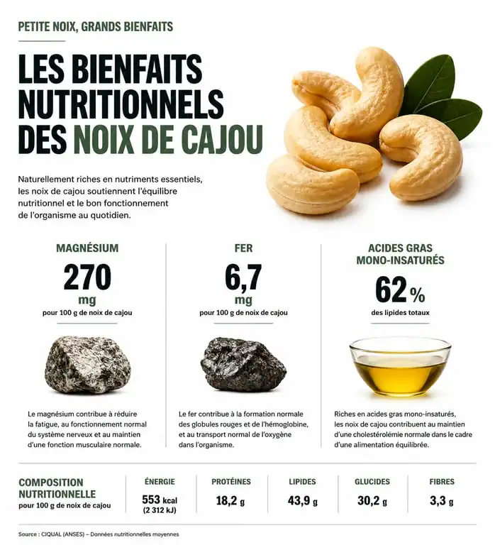 Infographie des bienfaits nutritionnels des noix de cajou pour la santé