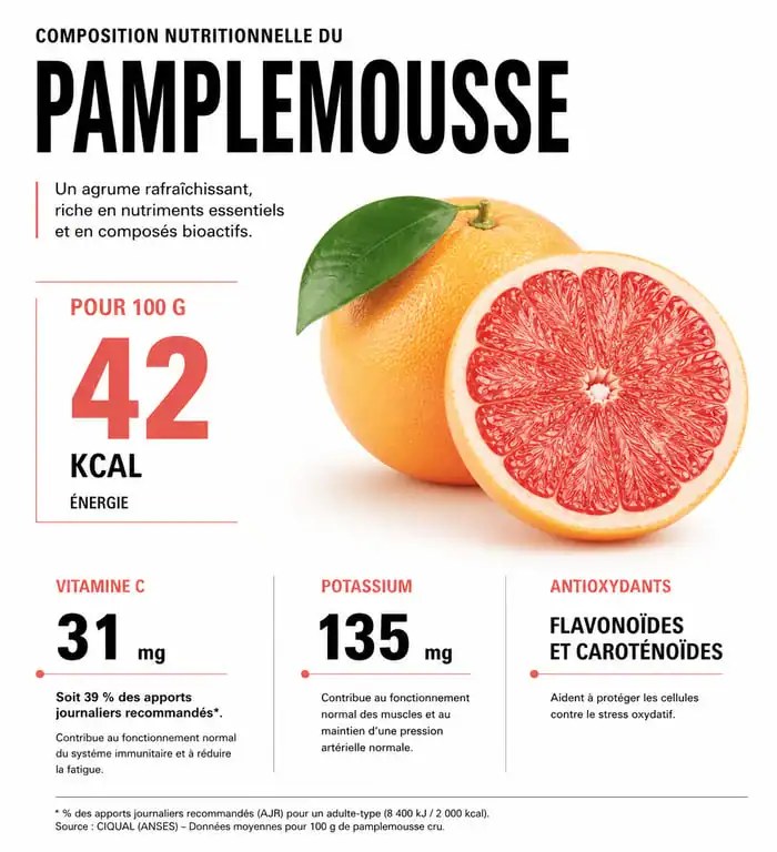 Infographie nutritionnelle sur les bienfaits et calories du pamplemousse