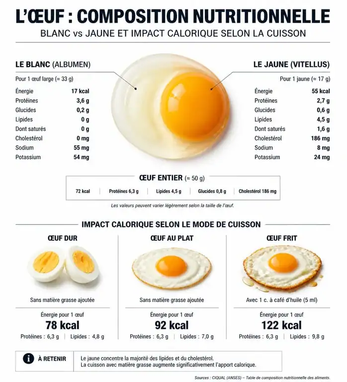 Infographie sur les bienfaits et l'apport calorique des œufs selon le mode de cuisson