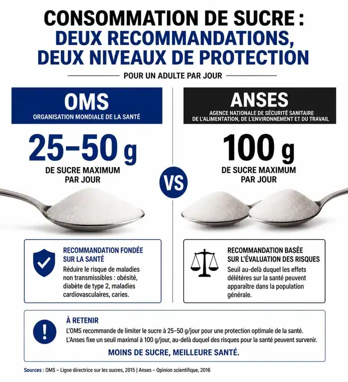 Infographie des recommandations de consommation de sucre par jour OMS et Anses